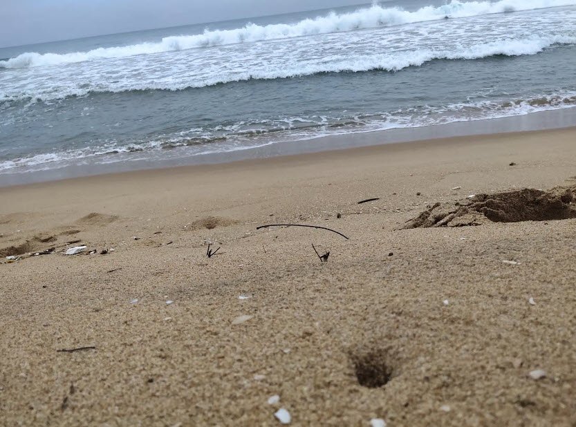 Karedu Beach, Prakasam, India